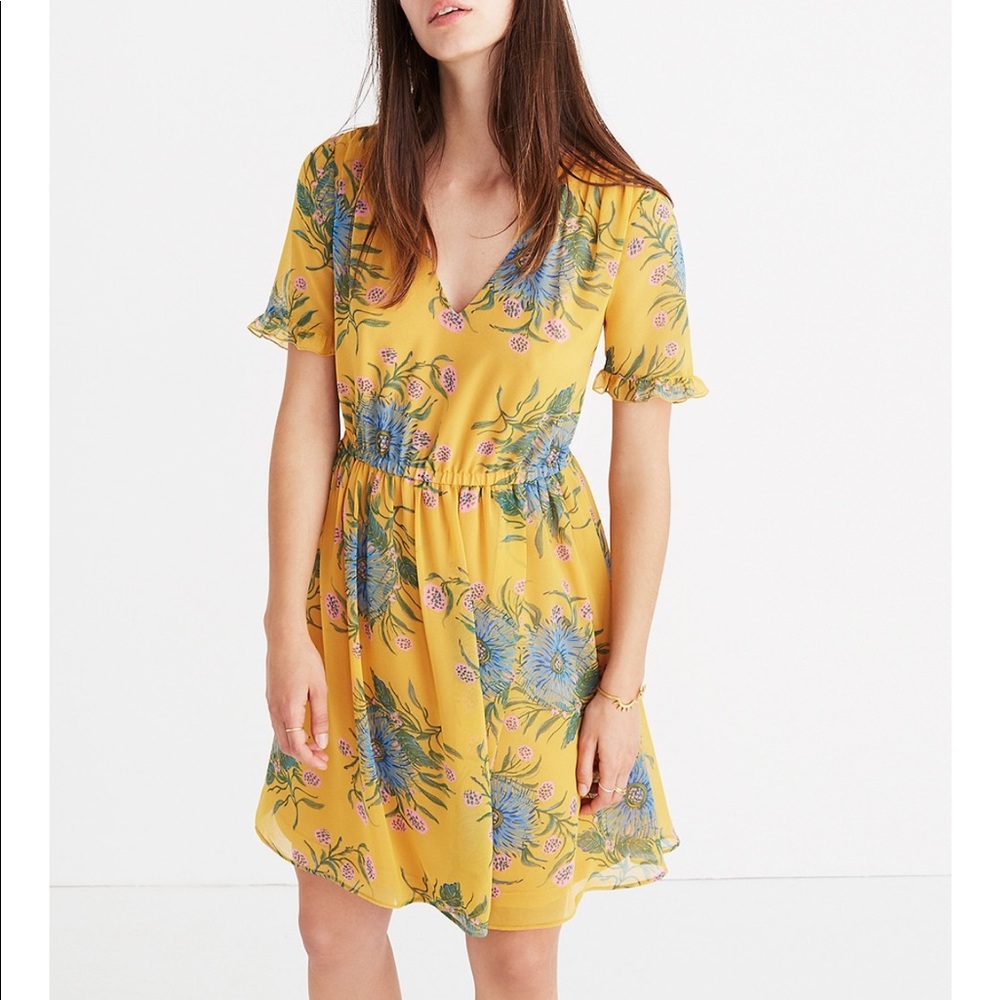 Madewell Sweetgrass Ruffle-Sleeve Dress NWT Sz 4